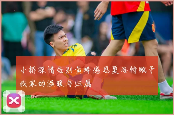 小桥深情告别黄蜂感恩夏洛特赋予我家的温暖与归属